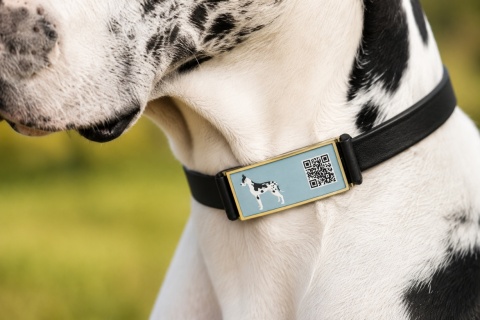 Adresówka Identyfikator Prostokątny Dla Psa Kod QR Niebieski 58 x 23 mm 25g