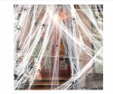 Pajęczyna sieć pająka dekoracja na Halloween 100g + plastikowe pająki 30szt