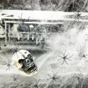 Pajęczyna sieć pająka dekoracja na Halloween 100g + plastikowe pająki 30szt