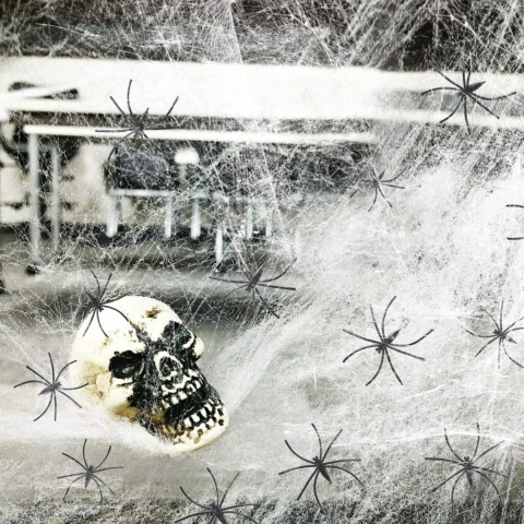 Pajęczyna sieć pająka dekoracja na Halloween 100g + plastikowe pająki 30szt