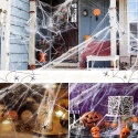 Pajęczyna sieć pająka dekoracja na Halloween 100g + plastikowe pająki 30szt