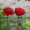 Podpórki do roślin metal 40 cm 12 szt.