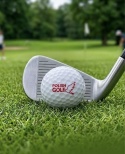 Piłki golfowe POLISH GOLF WHITE BIRD III, trójwarstwowe, białe, 3 szt.