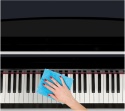 Środek do Czyszczenia i Polerowania Fortepianu Lakieru Piano 120 ml