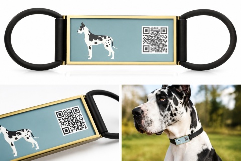 Adresówka Identyfikator Prostokątny Dla Psa Kod QR Niebieski 58 x 23 mm 25g