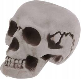 Czaszka ludzka z żywicy do nauki anatomii rekwizyt na Halloween 19cm