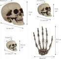 Kości Dekoracje Szkielet Czaszka Głowa Szkieletowa Ręka Na Halloween