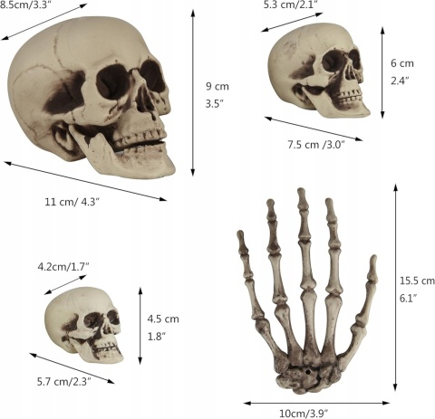 Kości Dekoracje Szkielet Czaszka Głowa Szkieletowa Ręka Na Halloween