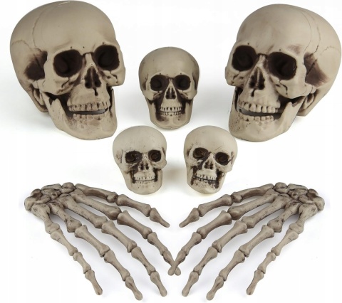 Kości Dekoracje Szkielet Czaszka Głowa Szkieletowa Ręka Na Halloween