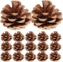 Szyszki Sosnowe Naturalne od 3 do 5 cm Dekoracja Ozdoba 48szt