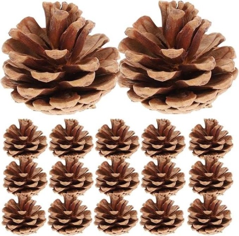 Szyszki Sosnowe Naturalne od 3 do 5 cm Dekoracja Ozdoba 48szt