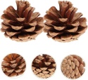 Szyszki Sosnowe Naturalne od 3 do 5 cm Dekoracja Ozdoba 48szt