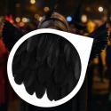 Skrzydła czarne MEMFLOW z piór na Halloween