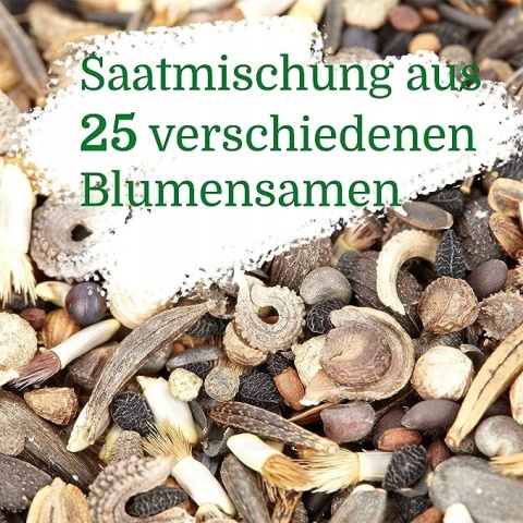 OwnGrown mieszanka nasion kwiatów, dla pszczół, trzmieli 100g