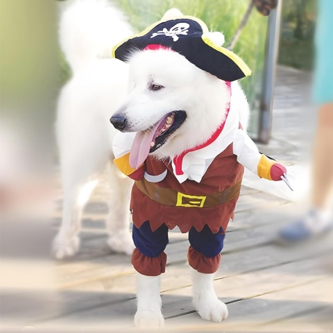 Kostium Strój Ubranko Przebranie Pirata Dla Psa Zestaw