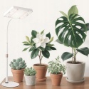 Lampa do uprawy wzrostu roślin stołowa stojąca regulowana 25W LED IR i UV