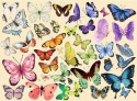 Puzzle 1000 elementów układanka 50x60cm Motyle kolorowe