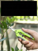 Dwa profesjonalne małe nożyce do przycinania roślin, bonsai, wytrzymałe