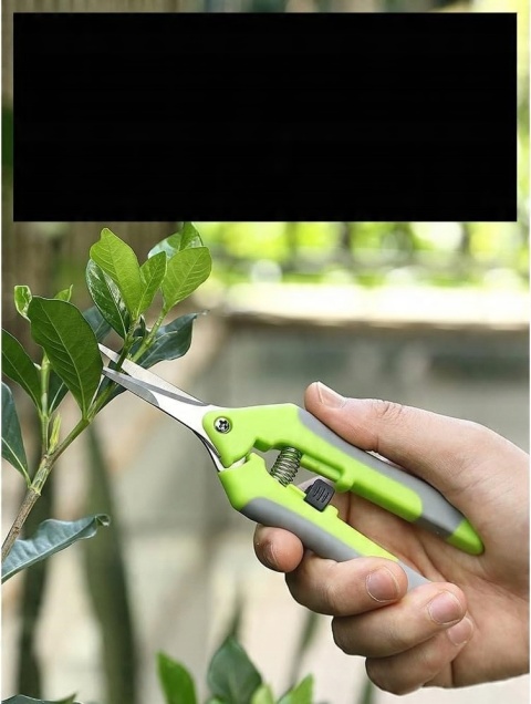 Dwa profesjonalne małe nożyce do przycinania roślin, bonsai, wytrzymałe