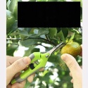 Dwa profesjonalne małe nożyce do przycinania roślin, bonsai, wytrzymałe