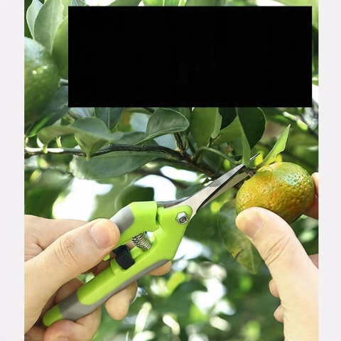 Dwa profesjonalne małe nożyce do przycinania roślin, bonsai, wytrzymałe