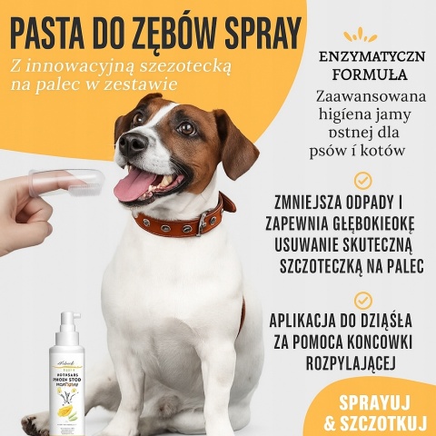 Pasta do zębów dla psów kotów 1 szt LexyFriend na kamień nazębny