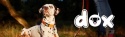 Przedni koszyk rowerowy plecak transportowy dla psa kota do 4kg DDOXX szary